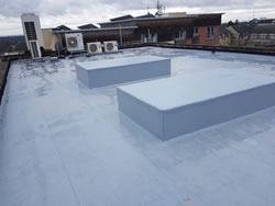All Roofing Solutions